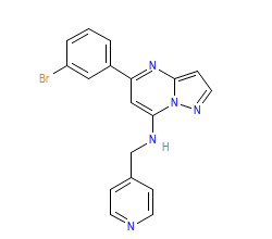 2D structure of the orthosteric ligand