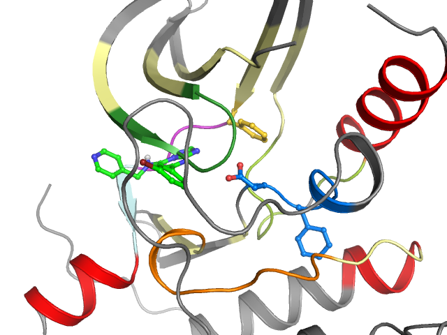 The orthosteric binding pocket
