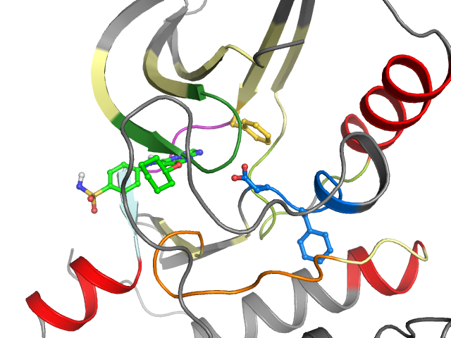 The orthosteric binding pocket