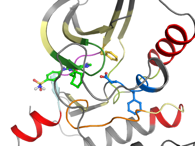 The orthosteric binding pocket