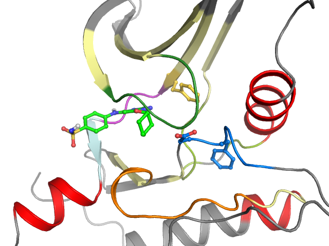 The orthosteric binding pocket