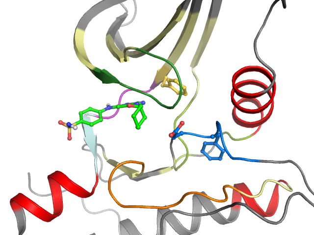 The orthosteric binding pocket