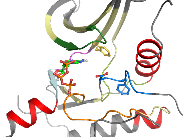 The orthosteric binding pocket