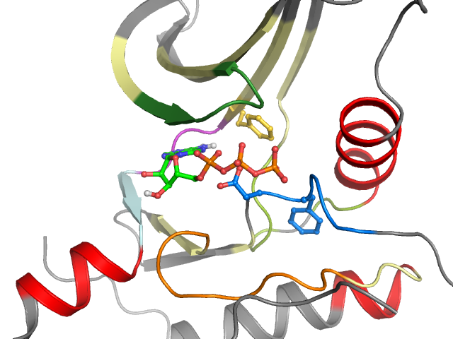 The orthosteric binding pocket