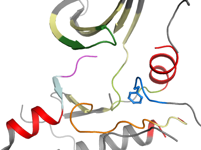 The orthosteric binding pocket