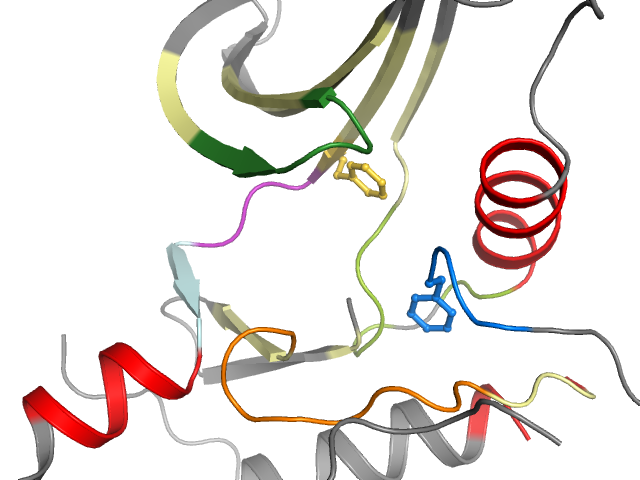 The orthosteric binding pocket