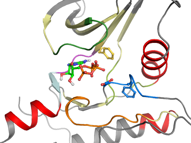 The orthosteric binding pocket