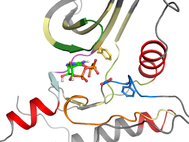 The orthosteric binding pocket