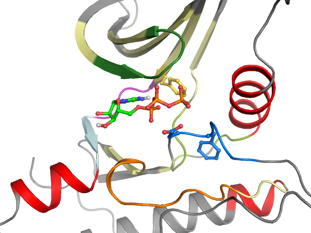 The orthosteric binding pocket