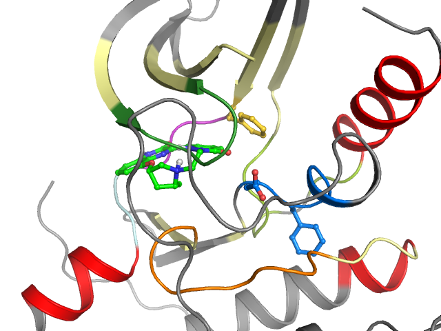 The orthosteric binding pocket