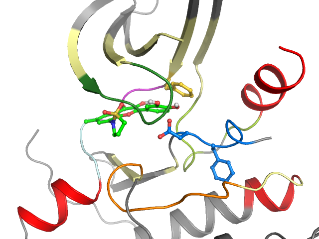 The orthosteric binding pocket