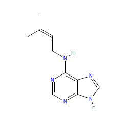 2D structure of the orthosteric ligand