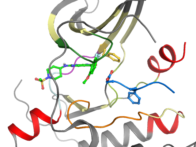 The orthosteric binding pocket