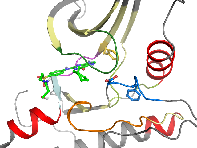 The orthosteric binding pocket