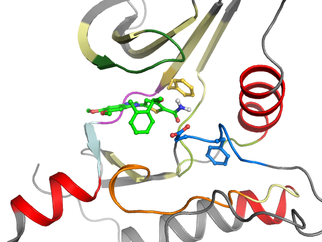 The orthosteric binding pocket