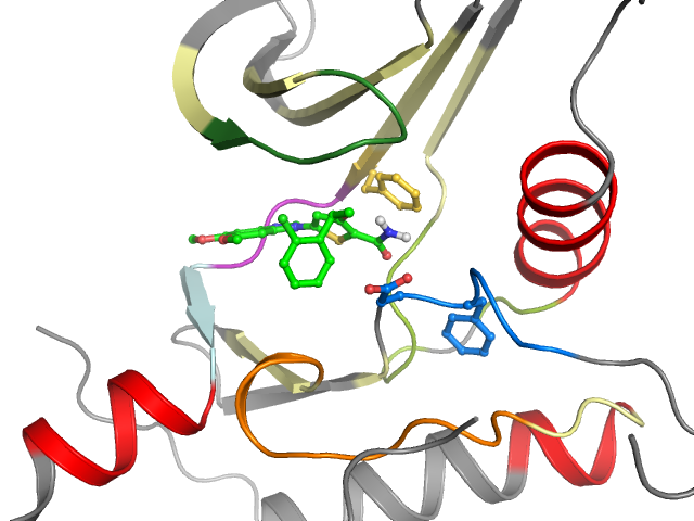 The orthosteric binding pocket