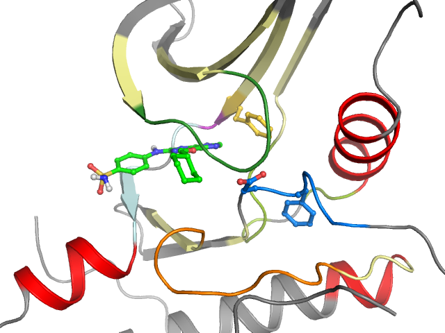 The orthosteric binding pocket