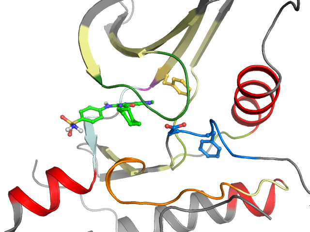 The orthosteric binding pocket