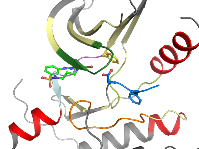 The orthosteric binding pocket