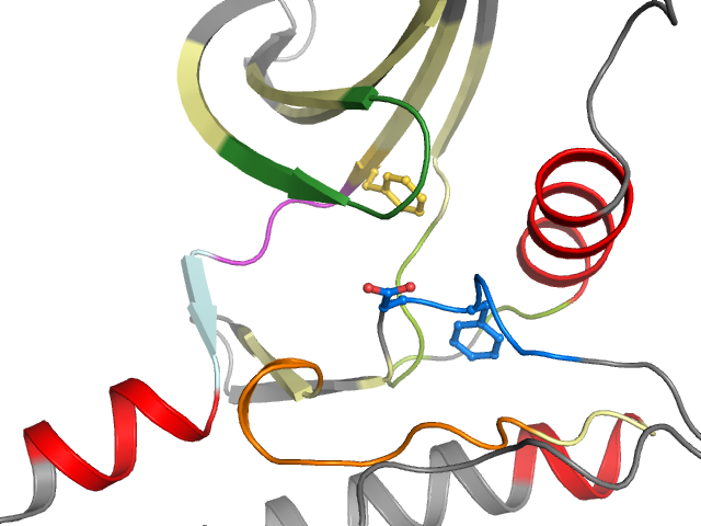 The orthosteric binding pocket