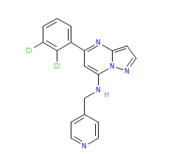 2D structure of the orthosteric ligand