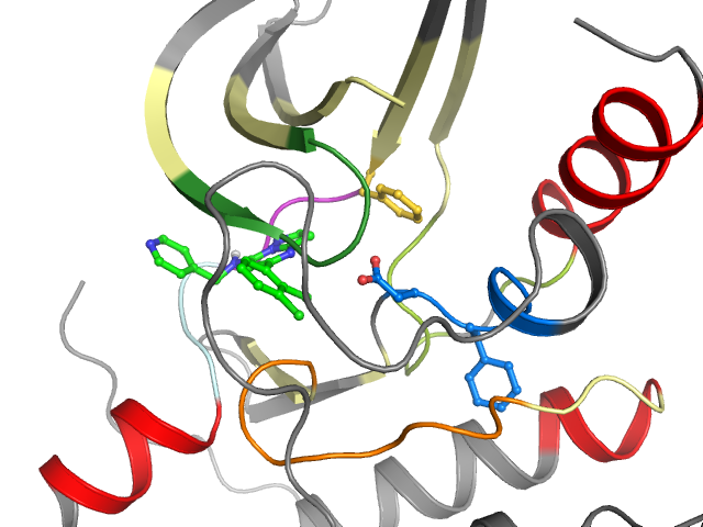 The orthosteric binding pocket