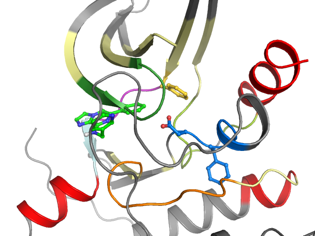 The orthosteric binding pocket