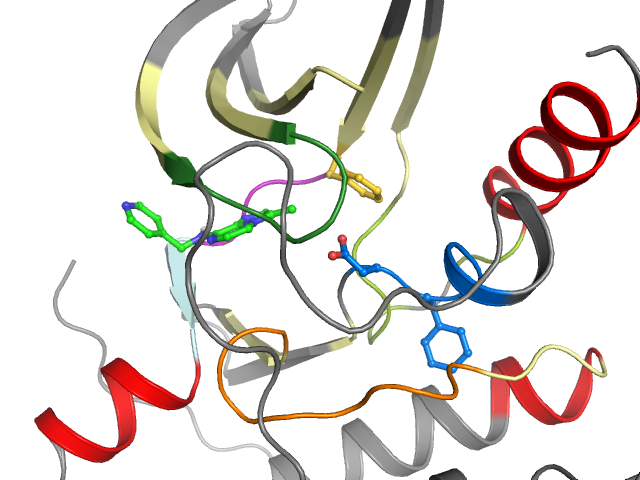The orthosteric binding pocket