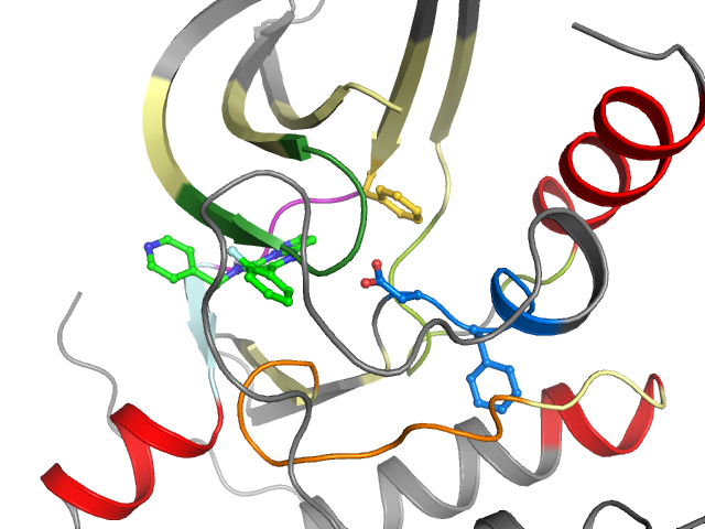 The orthosteric binding pocket