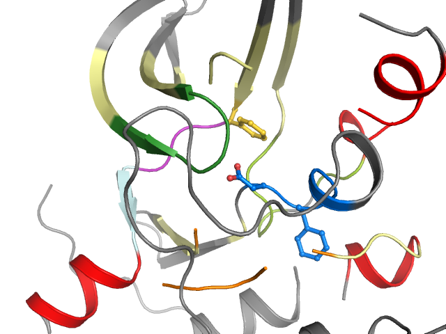 The orthosteric binding pocket