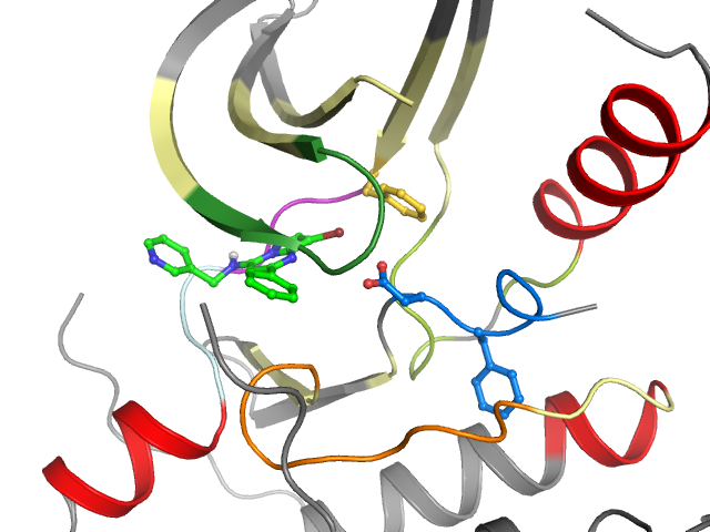 The orthosteric binding pocket