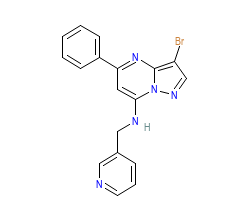 2D structure of the orthosteric ligand