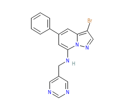 2D structure of the orthosteric ligand
