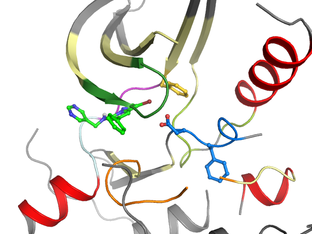 The orthosteric binding pocket