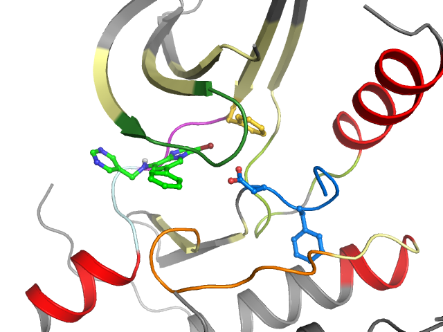 The orthosteric binding pocket