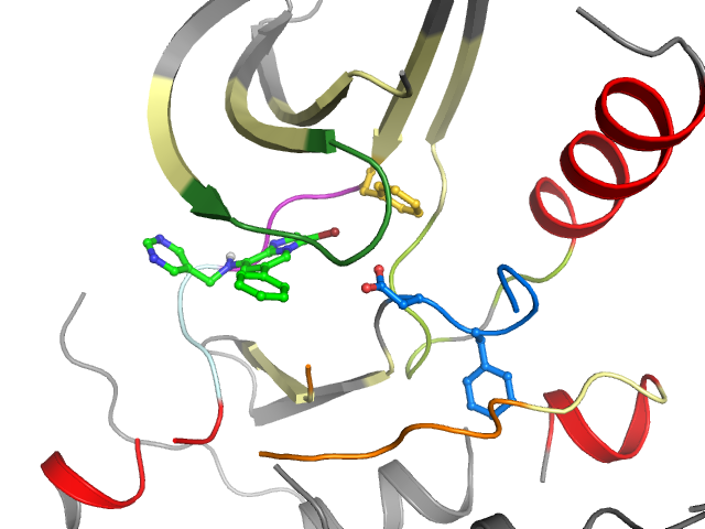 The orthosteric binding pocket