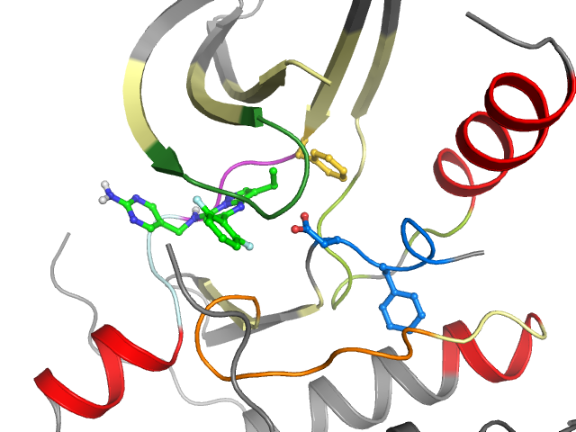 The orthosteric binding pocket
