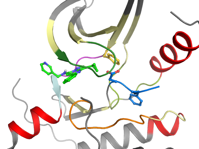 The orthosteric binding pocket