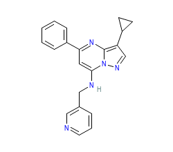 2D structure of the orthosteric ligand