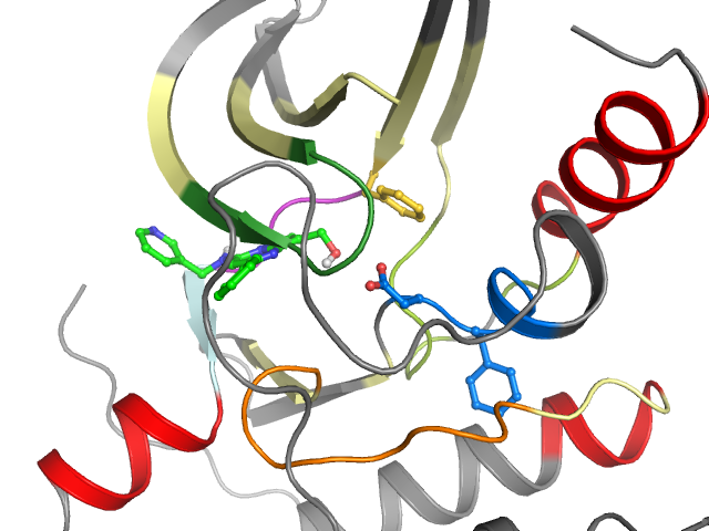 The orthosteric binding pocket