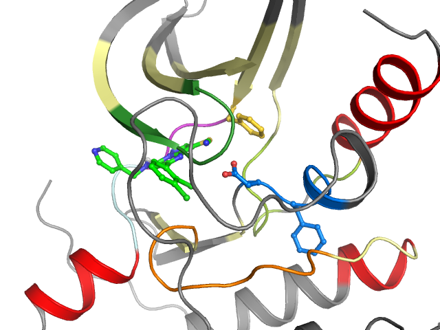 The orthosteric binding pocket