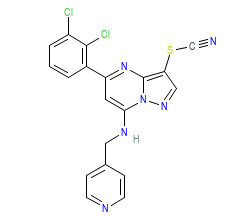 2D structure of the orthosteric ligand