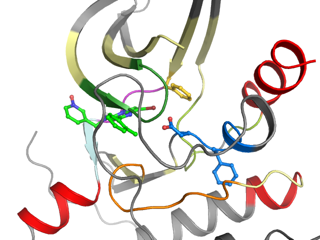 The orthosteric binding pocket
