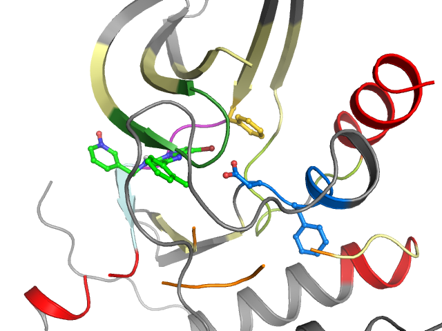 The orthosteric binding pocket
