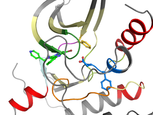 The orthosteric binding pocket