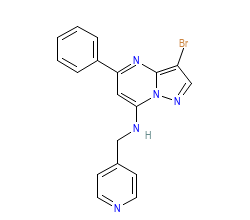 2D structure of the orthosteric ligand