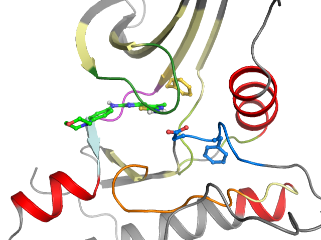 The orthosteric binding pocket
