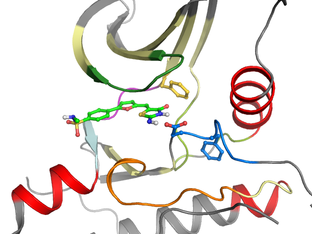 The orthosteric binding pocket