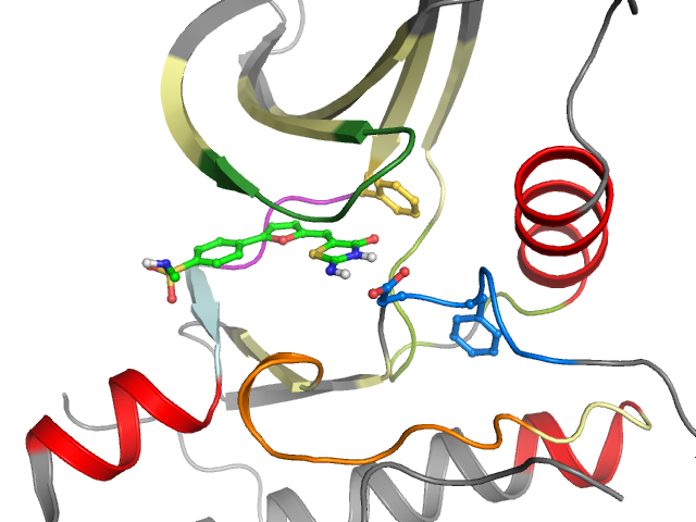 The orthosteric binding pocket