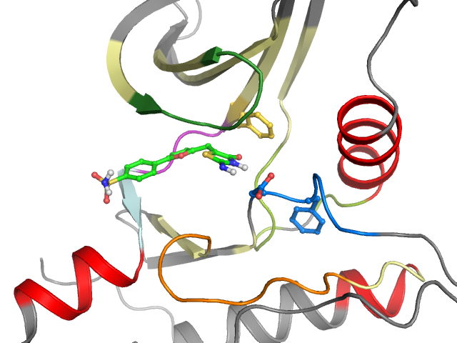 The orthosteric binding pocket